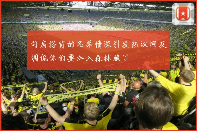 勾肩搭背的兄弟情深引发热议网友调侃你们要加入森林狼了