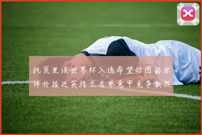托莫里谈世界杯入选希望称图赫尔评价接近英格兰名单意甲竞争激烈