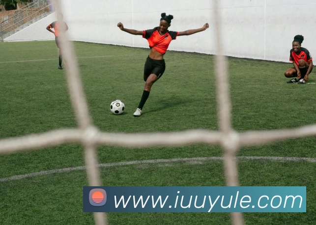 多媒体互动体验